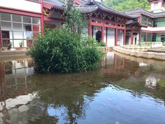 -江西阳明山国家森林公园