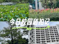 -顺德职业技术大学
