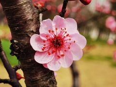 -白塘生态植物园