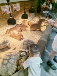 -Zoolung Zoolung动物主题公园(海信广场店)