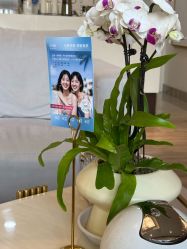 -上海首尔丽格医疗美容医院