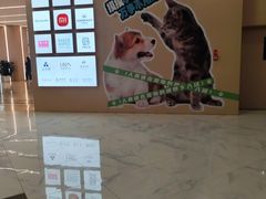 -凯德MALL(望京店)