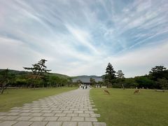 -奈良公园