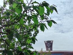 -国际非物质文化遗产博览园