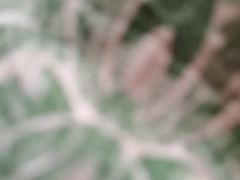 -华勘酒楼中山门广宁路店