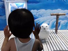 -成都浩海立方海洋公园