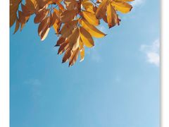 -江阴敔山湖公园