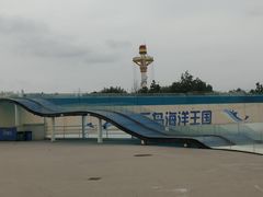 -秦皇岛乐岛海洋王国