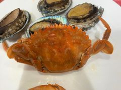 -芭菲盛宴·环球美食(北城国际店)