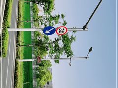 -龙美术馆(西岸馆)