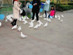 -国色天乡三期陆地乐园