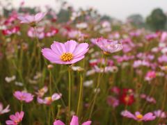 -BreadTalk面包新语·烘焙蛋糕(高德置地春广场店)