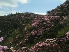 -井冈山风景名胜区
