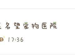 -瑞派名望24h动物医院异宠专科·猫专科·骨科·重症监护分院