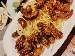 -虾宝贝胶东海鲜·渔家菜(小西天店)