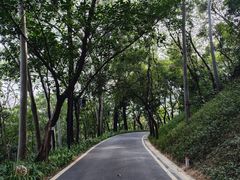-广州雕塑公园