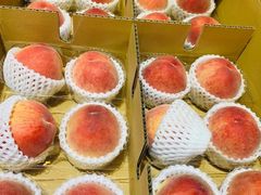 -油麻地果栏