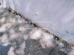 -龙美术馆(西岸馆)