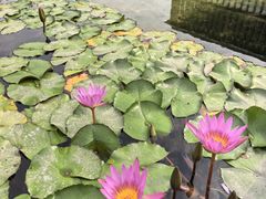 -星巴克(深圳前海企业公馆店)