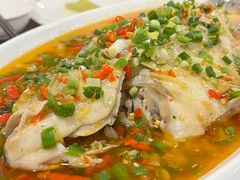 -飞虹鱼馆(春华路店)