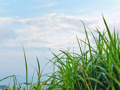 -萍乡武功山风景名胜区