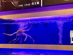 -集品堂·JPC餐厅(青年大街市府店)