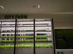 营养补充剂育苗区-安利上海体验馆