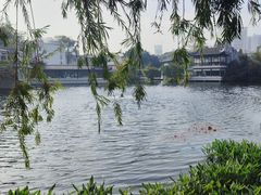 -荔湾湖公园