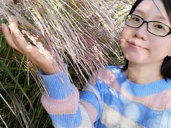 -武清南湖绿博园