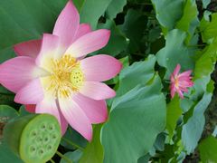 -金百万烤鸭店(马甸店)