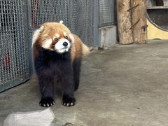-郑州市动物园