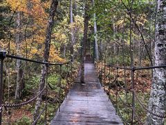 -五营红松林海景区