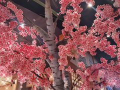 -大江户·温泉洗浴(浑南店)