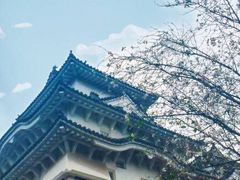 -名古屋城