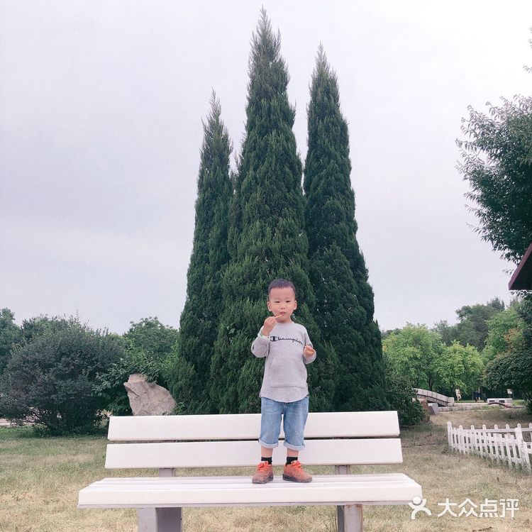 网红打卡地值得去吗之卷云牧场