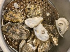 -千岛蚝高压锅生蚝·人参火锅(白云万达店)