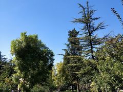 -清华大学-观畴园餐厅