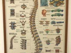 -深圳谢庆良中医诊所