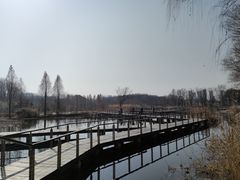 -昆山城市生态森林公园