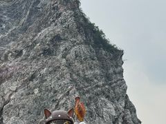 -佛山市三水区大南山森林公园