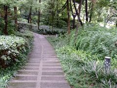 -成都市活水公园
