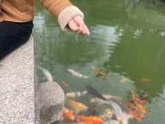 -檀园
