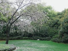 -中国茶叶博物馆(双峰馆区)