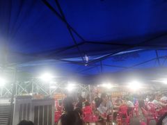 -霞姐屯昌枫木香草鸭店(海螺店)