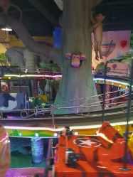 -卡通尼·Safari非洲探索乐园·生日会(金桥国际商业广场店)