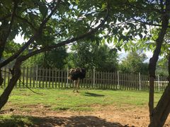 -云漫湖生态度假公园