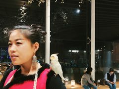 -Seesaw Coffee(朝阳大悦城店)