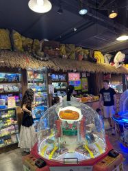 -卡通尼·Safari非洲探索乐园·生日会(金桥国际商业广场店)