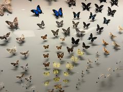 -香港科学馆