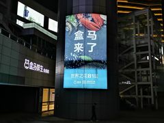 -盒马X会员店(王府井奥莱UP TOWN店)